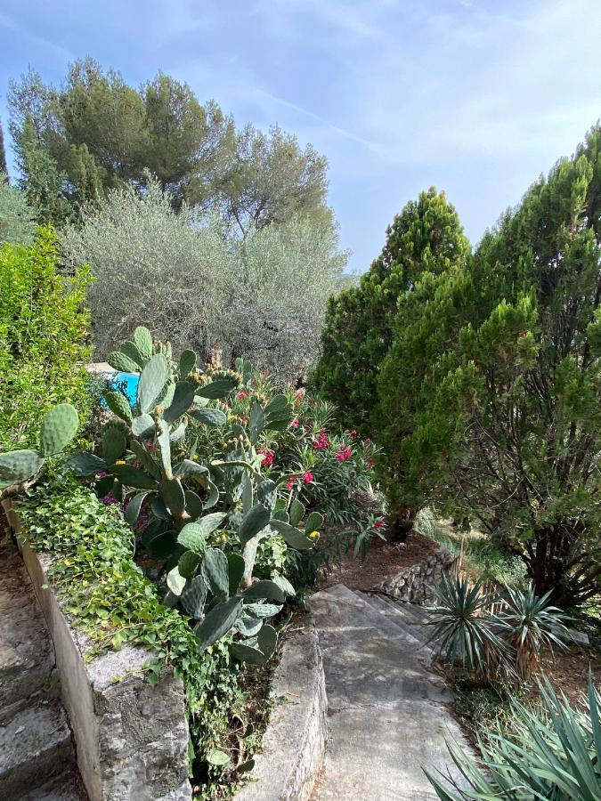 Entre Nice Et Monaco Grande Villa Avec Piscine Privee 12 Personnes Drap Buitenkant foto