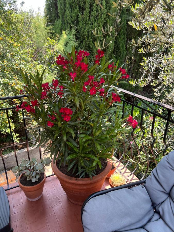Entre Nice Et Monaco Grande Villa Avec Piscine Privee 12 Personnes Drap Buitenkant foto